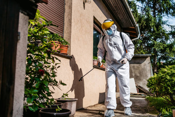 Best Pest Prevention Services  in USA